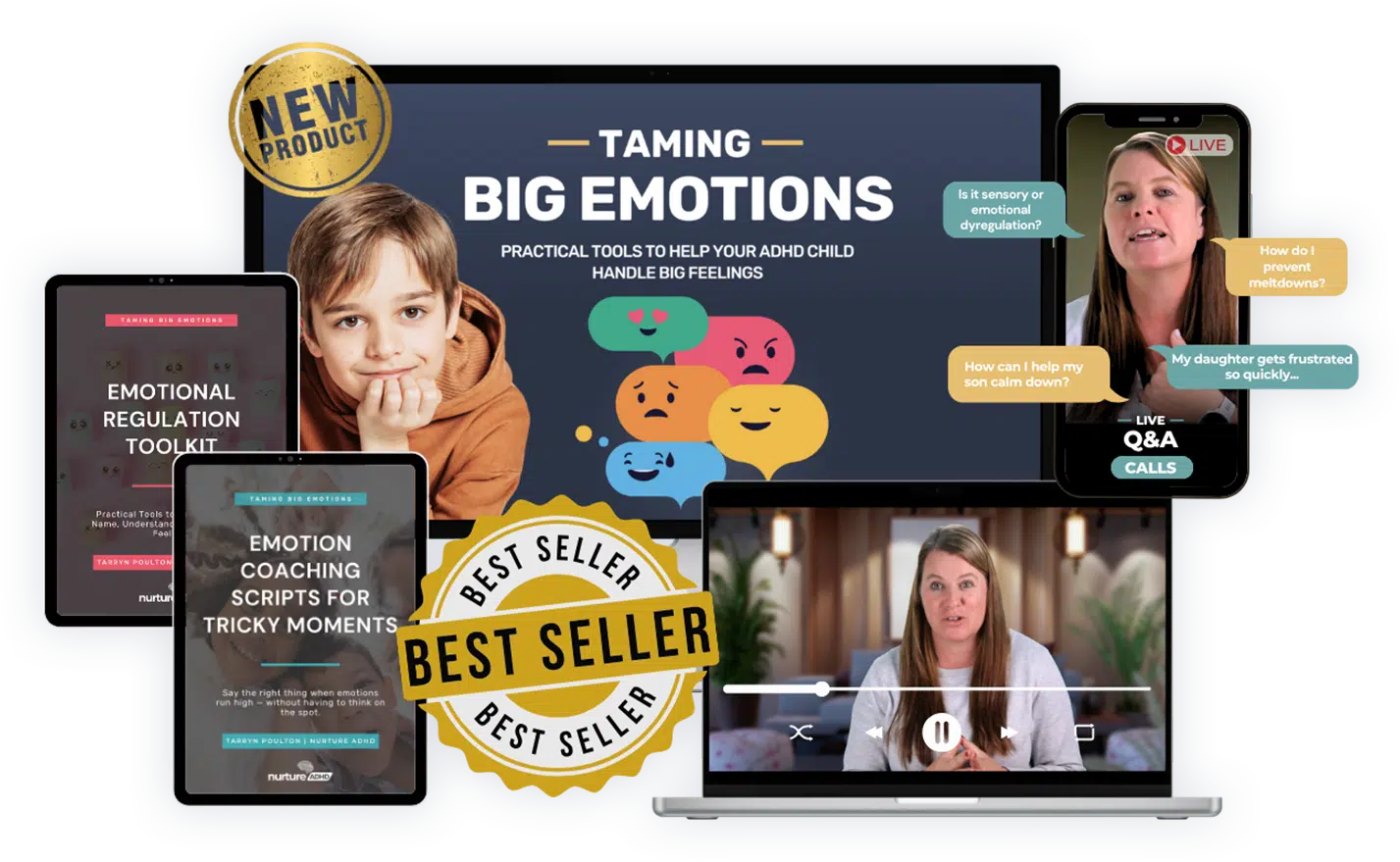 Taming Big Emotions course